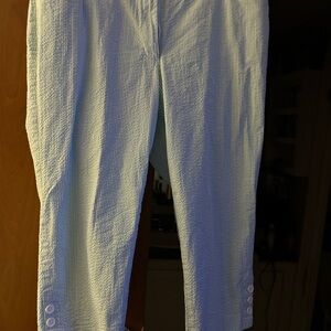 Light Blue Textured Pants with Button Detail